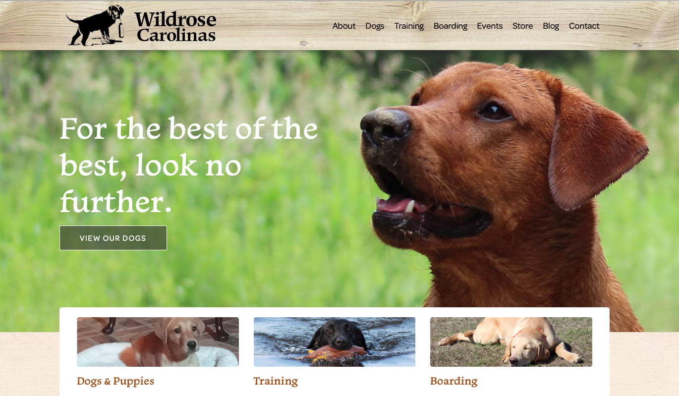 Hunting dog training facility launches website for NC location